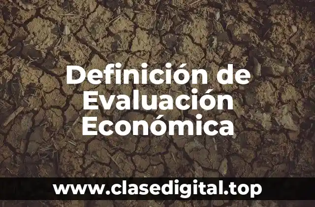 Definición de Evaluación Económica