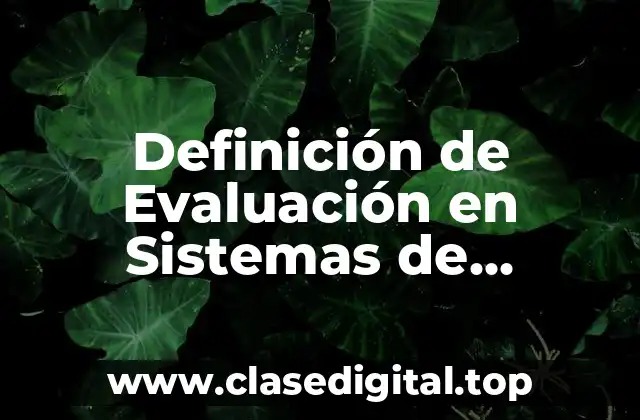 Definición de Evaluación en Sistemas de Información
