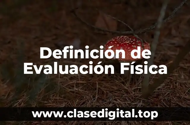 Definición de Evaluación Física