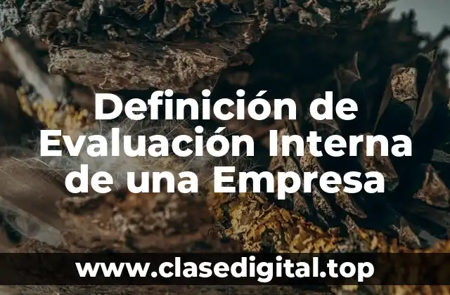 Definición de Evaluación Interna de una Empresa