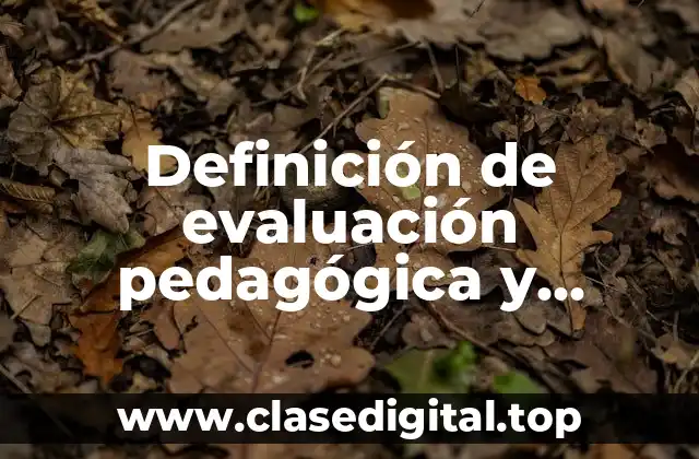 Definición de evaluación pedagógica y evaluación social acreditativa