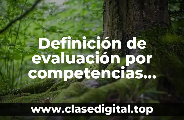 Ejemplos de evaluación por competencias orientadas al desempeño