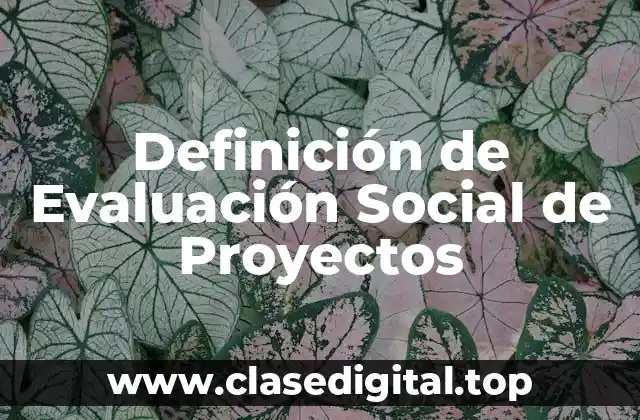 Definición de Evaluación Social de Proyectos