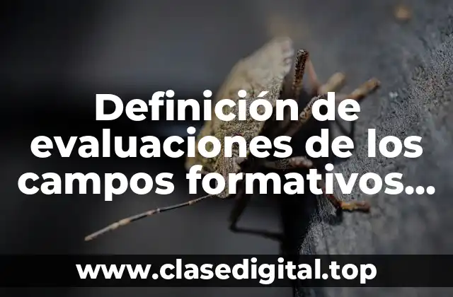 Definición de evaluaciones de los campos formativos de preescolar