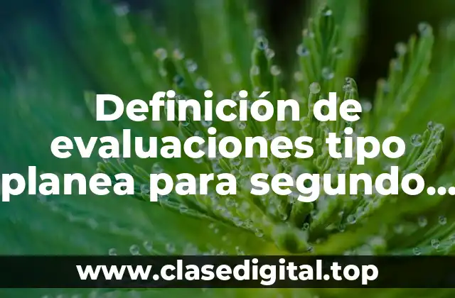 Definición de evaluaciones tipo planea para segundo grado de secundaria