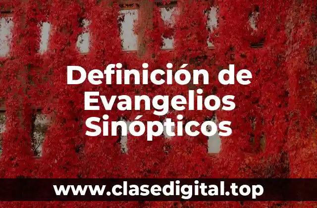 Definición de Evangelios Sinópticos