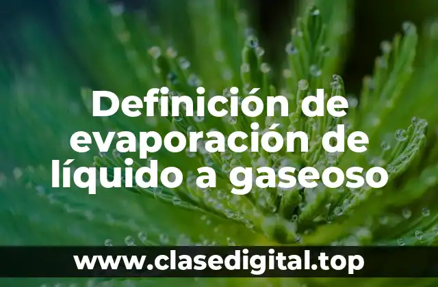 Definición de evaporación de líquido a gaseoso