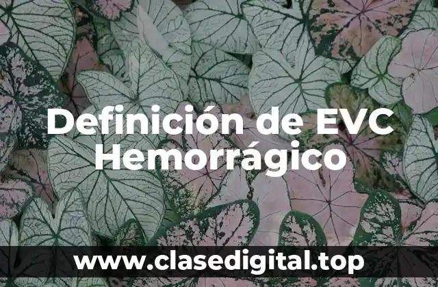 Definición de EVC Hemorrágico