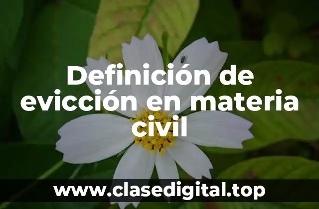 Ejemplos de evicción en materia civil