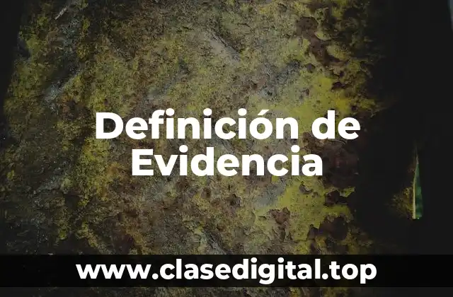 Definición de Evidencia