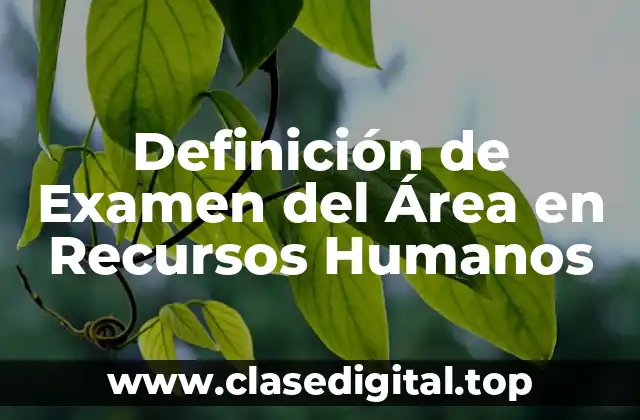 Definición técnica de Examen del Área en Recursos Humanos