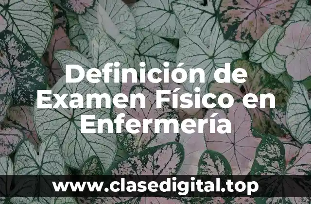 Definición de Examen Físico en Enfermería