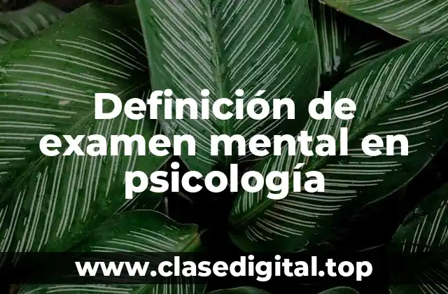 Definición de examen mental en psicología