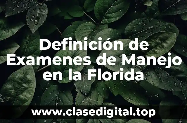 Definición de Examenes de Manejo en la Florida