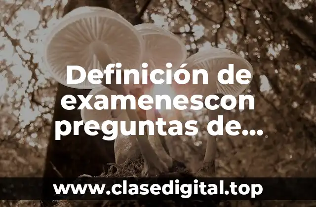 Definición de examenescon preguntas de completar oraciones faciles para niños