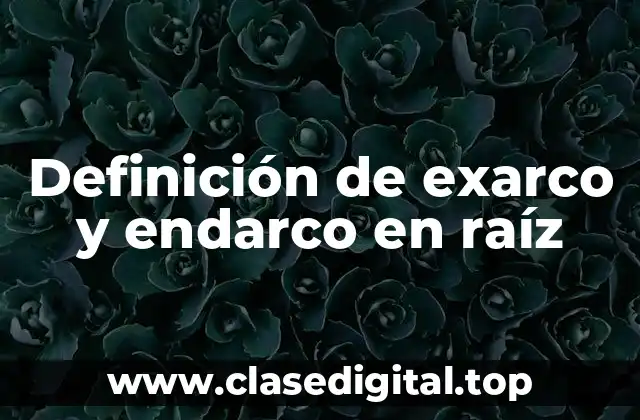 Definición de exarco y endarco en raíz