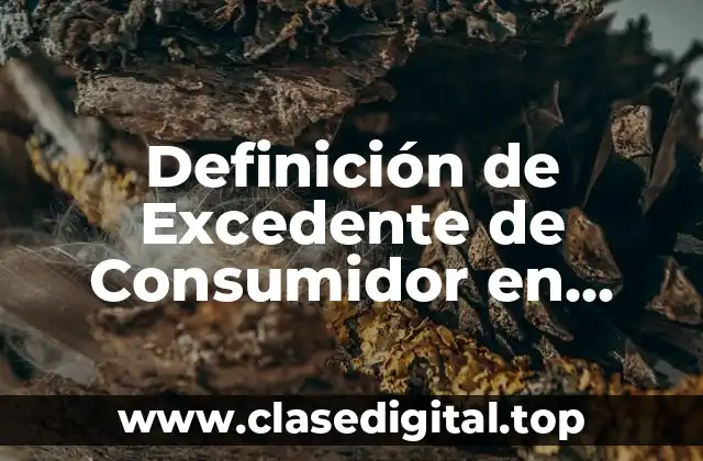 Definición de Excedente de Consumidor en Economía