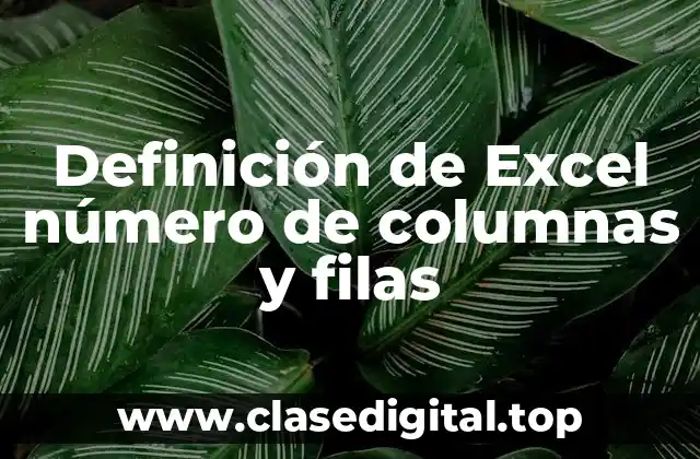 Definición técnica de número de columnas y filas