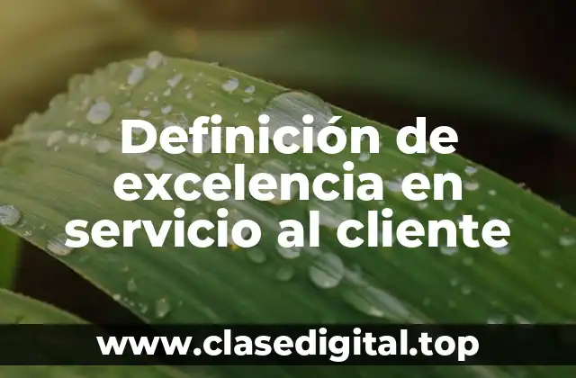 Definición de excelencia en servicio al cliente