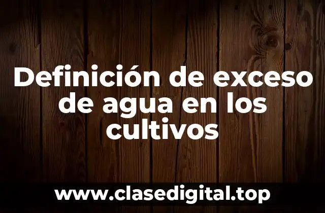 Definición de exceso de agua en los cultivos