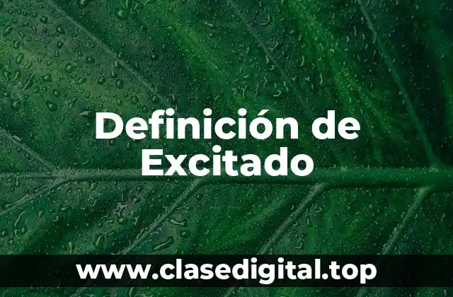 Definición de Excitado
