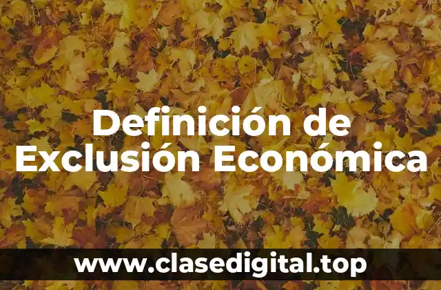 Definición técnica de Exclusión Económica