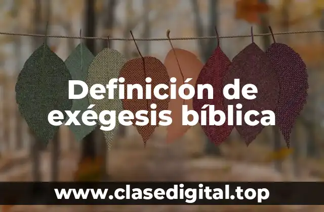 Definición de exégesis bíblica