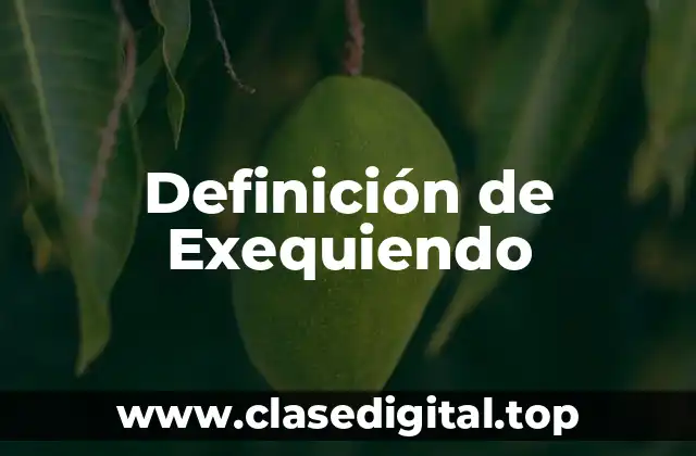 Definición de Exequiendo