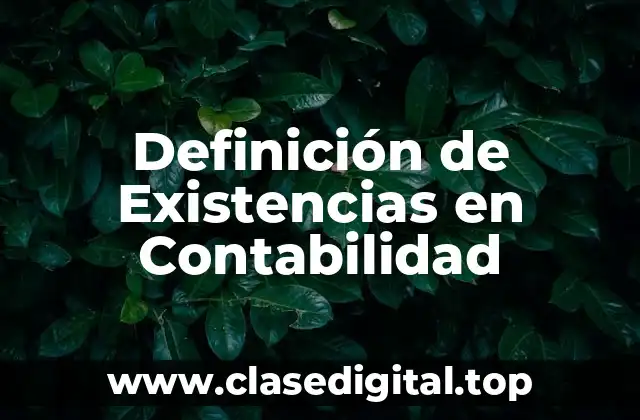 Definición de Existencias en Contabilidad