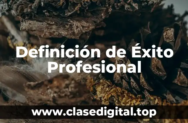 Definición de Éxito Profesional