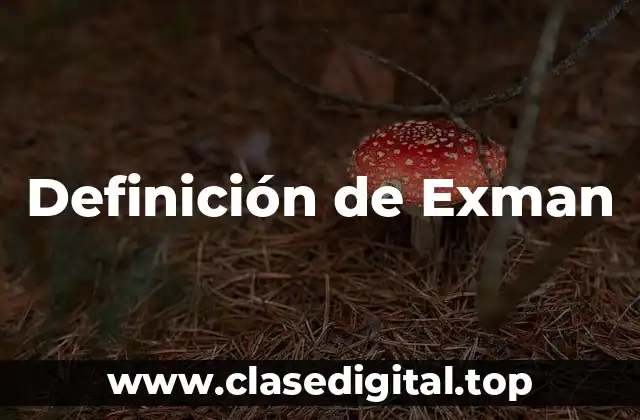 Definición de Exman