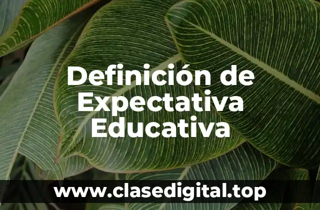 Definición de Expectativa Educativa