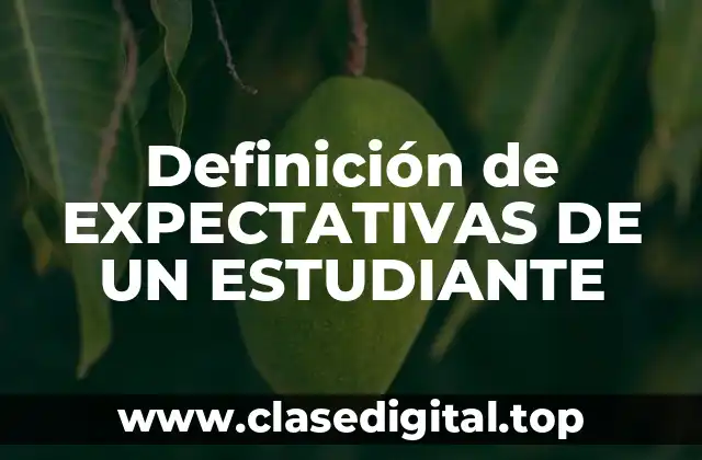 Definición de EXPECTATIVAS DE UN ESTUDIANTE