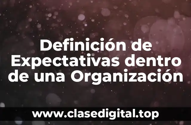 Definición de Expectativas dentro de una Organización