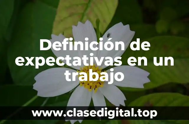 Definición de expectativas en un trabajo
