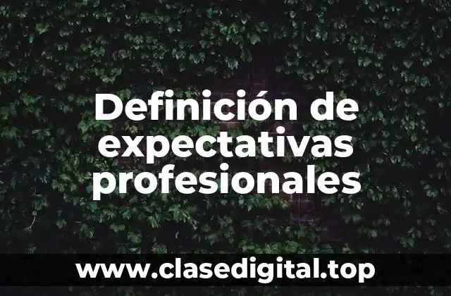 Definición de expectativas profesionales