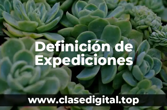 Definición de Expediciones
