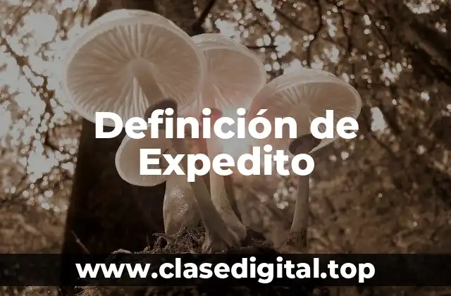 Definición de Expedito