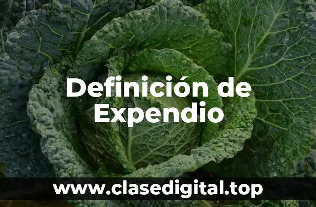 Definición de Expendio