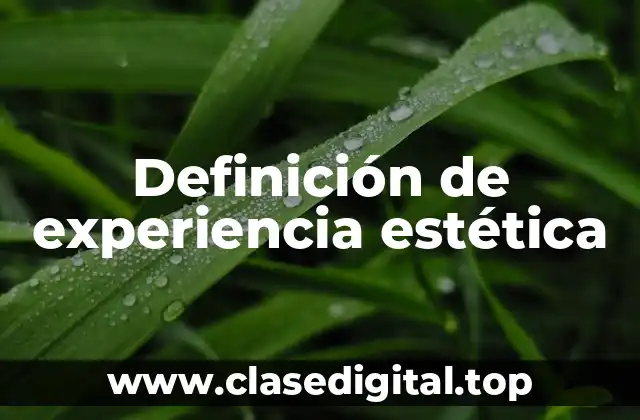 Definición técnica de experiencia estética
