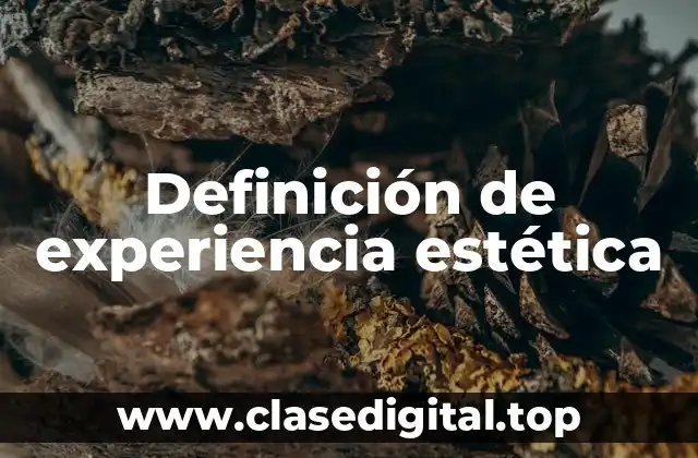 Definición de experiencia estética