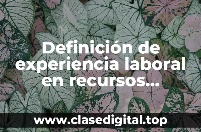 Definición de experiencia laboral en recursos humanos