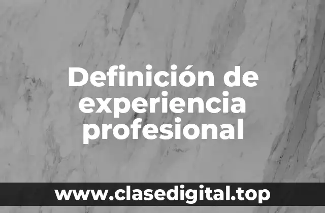 Definición técnica de experiencia profesional