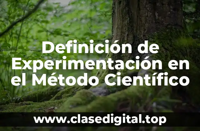 Definición de Experimentación en el Método Científico