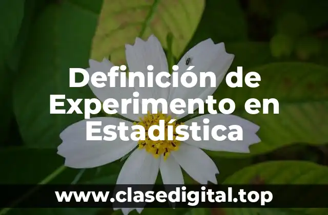 Definición de Experimento en Estadística
