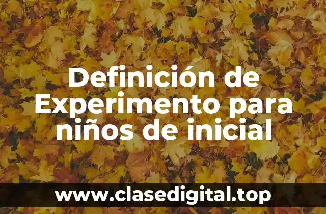 Definición de Experimento para niños de inicial