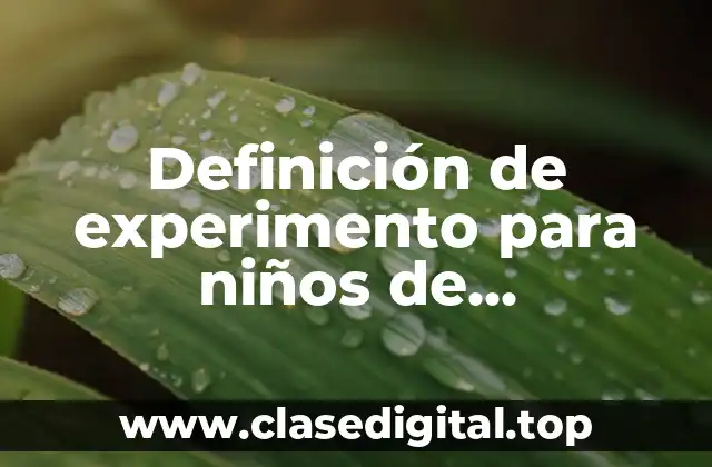 Definición de experimento para niños de kindergarten