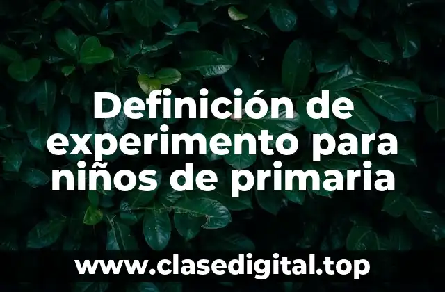 Definición de experimento para niños de primaria