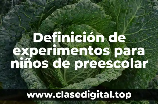 Definición de experimentos para niños de preescolar