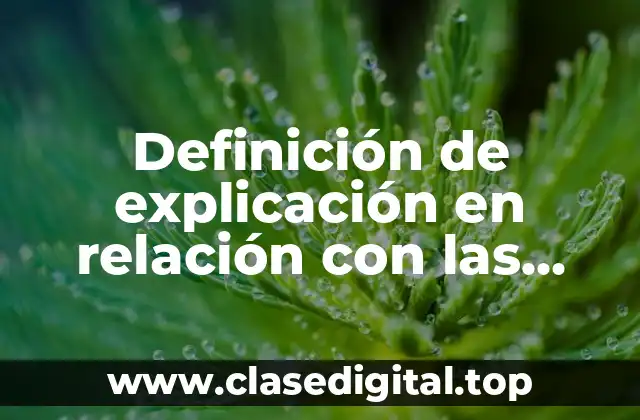 Definición técnica de explicación en relación con las ciencias sociales